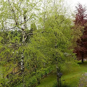 Relax Sull'altopiano Di Asiago Appartamento Gallio